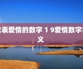 代表爱情的数字 1 9爱情数字含义 