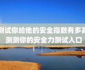 测试你给他的安全指数有多高 测测你的安全力测试入口