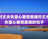 对丈夫失望心寒想离婚对丈夫失望心寒想离婚的句子