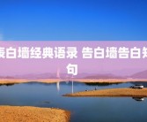 表白墙经典语录 告白墙告白短句 