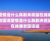 爱情是什么韩剧央视版在线播放国语爱情是什么韩剧央视版在线播放国语版