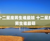 十二星座男生谁最娘 十二星座男生谁最萌