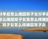 分手后怎么挽回双子女分手后怎么挽回双子女及怎么样挽回双子女怎么样挽回双子女