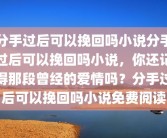 分手过后可以挽回吗小说分手过后可以挽回吗小说，你还记得那段曾经的爱情吗？分手过后可以挽回吗小说免费阅读