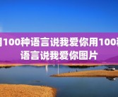 用100种语言说我爱你用100种语言说我爱你图片