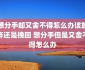 想分手却又舍不得怎么办该放弃还是挽回 想分手但是又舍不得怎么办