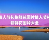 情人节礼物鲜花图片情人节礼物鲜花图片大全