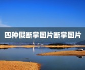 四种假断掌图片断掌图片