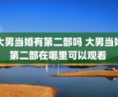 大男当婚有第二部吗 大男当婚第二部在哪里可以观看 