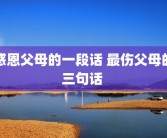 感恩父母的一段话 最伤父母的三句话 