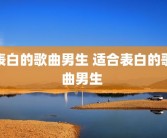 表白的歌曲男生 适合表白的歌曲男生 