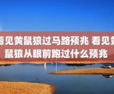 看见黄鼠狼过马路预兆 看见黄鼠狼从眼前跑过什么预兆 
