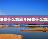 880是什么意思 996是什么意思 