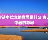 古诗中伫立的意思是什么 古诗中着的意思