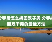 分手后怎么挽回双子男 分手挽回双子男的最佳方法