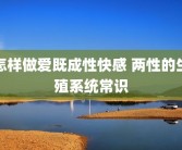 怎样做爱既成性快感 两性的生殖系统常识