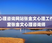 心理咨询网站张金文心理工作室张金文心理咨询师