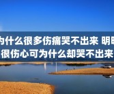 为什么很多伤痛哭不出来 明明很伤心可为什么却哭不出来
