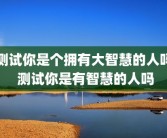 测试你是个拥有大智慧的人吗 测试你是有智慧的人吗
