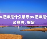 pv把妹是什么意思pv把妹是什么意思, 缩写