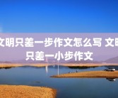 文明只差一步作文怎么写 文明只差一小步作文