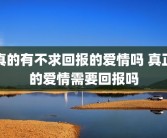真的有不求回报的爱情吗 真正的爱情需要回报吗