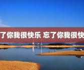 忘了你我很快乐 忘了你我很快乐