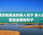 悼念刚离去的亲人句子 亲人长辈逝去简短句子 