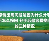 感情出现问题是因为什么分手后怎么挽回 分手后最容易挽回的三种情况