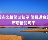 公布恋情简洁句子 简短适合公布恋情的句子 