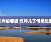陈坤的老婆 陈坤儿子母亲是谁 