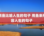 用鱼比喻人生的句子 用鱼来形容人生的句子 