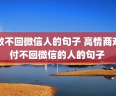 致不回微信人的句子 高情商对付不回微信的人的句子 