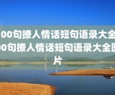 100句撩人情话短句语录大全100句撩人情话短句语录大全图片