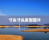 寸头寸头发型图片