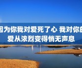 因为你我对爱死了心 我对你的爱从浓烈变得悄无声息
