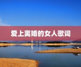 爱上离婚的女人歌词