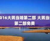 2016大男当婚第二部 大男当婚第二部免费 