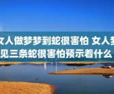 女人做梦梦到蛇很害怕 女人梦见三条蛇很害怕预示着什么 