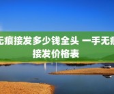 无痕接发多少钱全头 一手无痕接发价格表 