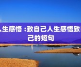人生感悟 :致自己人生感悟致自己的短句