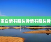 表白情书藏头诗情书藏头诗
