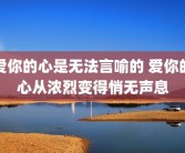 爱你的心是无法言喻的 爱你的心从浓烈变得悄无声息
