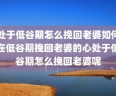 处于低谷期怎么挽回老婆如何在低谷期挽回老婆的心处于低谷期怎么挽回老婆呢
