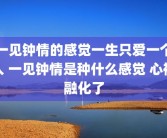 一见钟情的感觉一生只爱一个人 一见钟情是种什么感觉 心被融化了