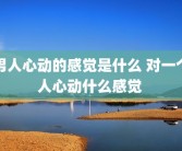 男人心动的感觉是什么 对一个人心动什么感觉 