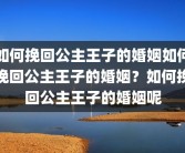 如何挽回公主王子的婚姻如何挽回公主王子的婚姻？如何挽回公主王子的婚姻呢