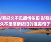 形容好久不见感情依旧 形容好久不见感情依旧的唯美句子 