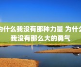 为什么我没有那种力量 为什么我没有那么大的勇气