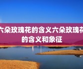 六朵玫瑰花的含义六朵玫瑰花的含义和象征